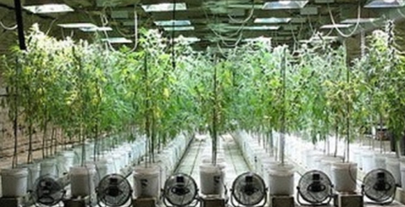 臭氧能处理异味吗